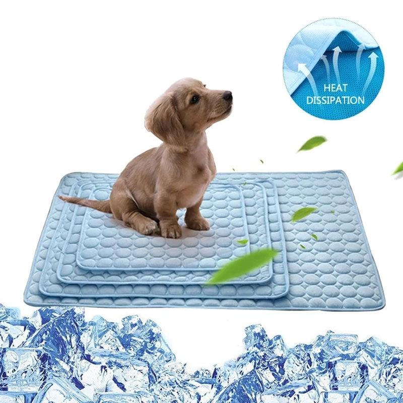 CoolingPaw - Sval som skuggan