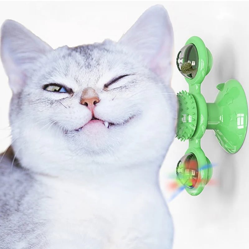 KittySwipe - Timvis lek och glädje