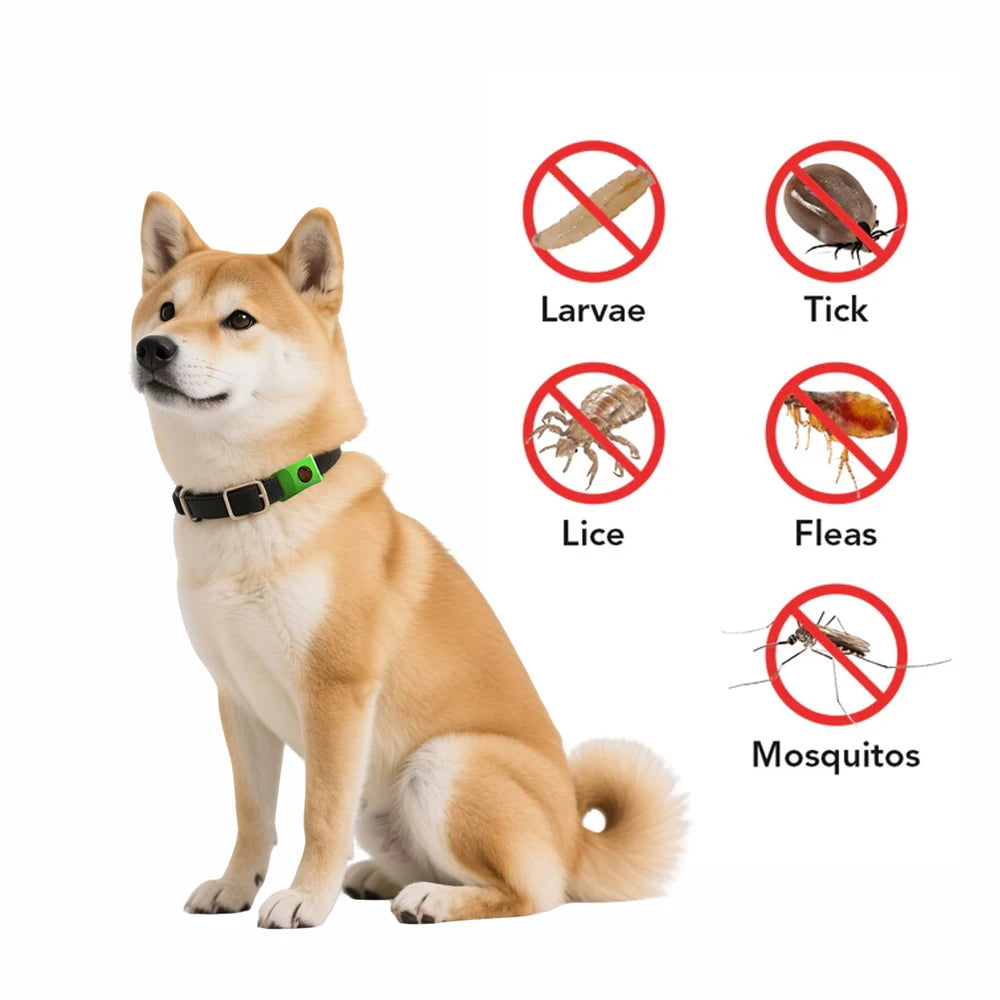 Tickless - 12 måneders beskyttelse for hunden din