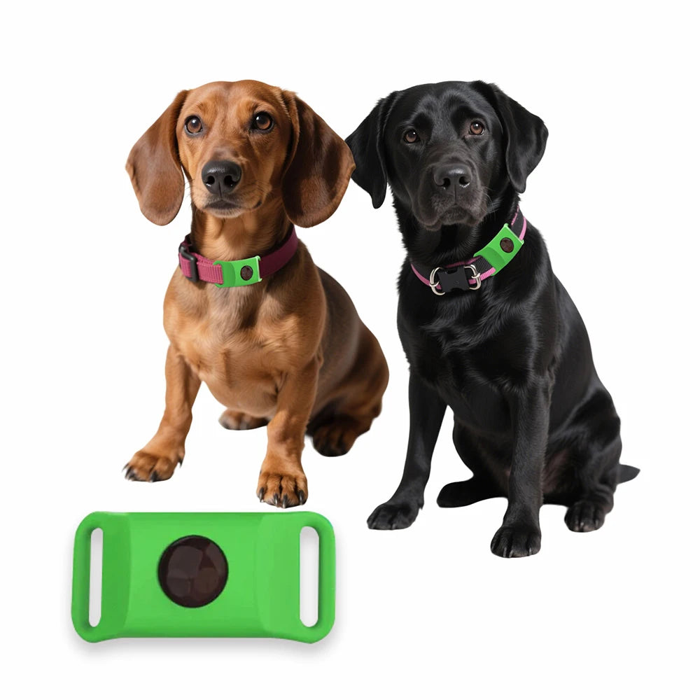 Tickless - 12 måneders beskyttelse for hunden din
