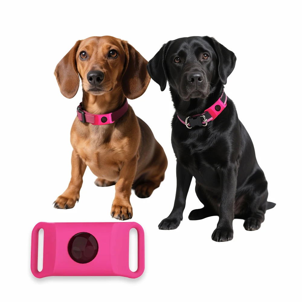 Tickless - 12 måneders beskyttelse for hunden din