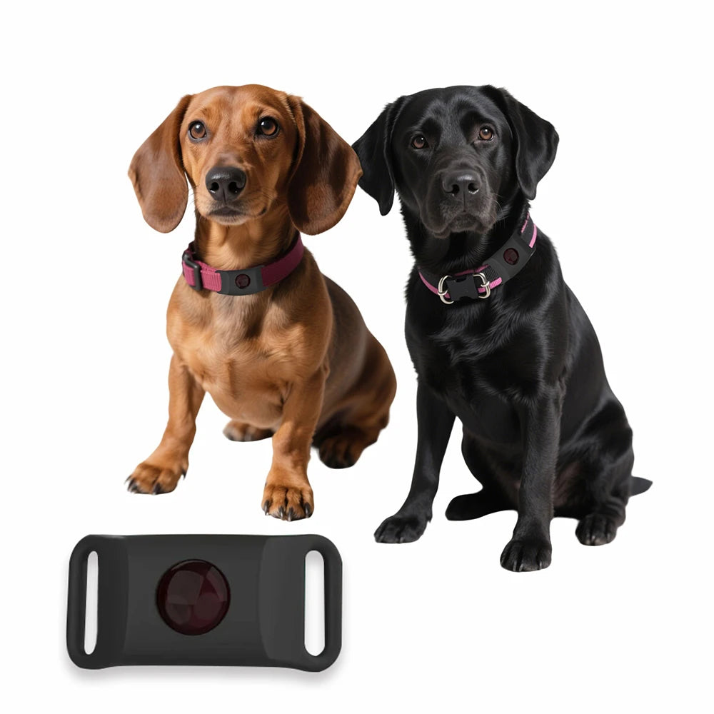 Tickless - 12 måneders beskyttelse for hunden din